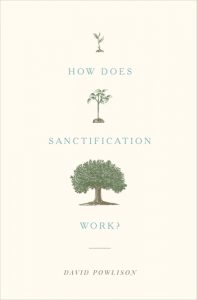How Does Sanctification Work? David Powlison’s book is a gem!